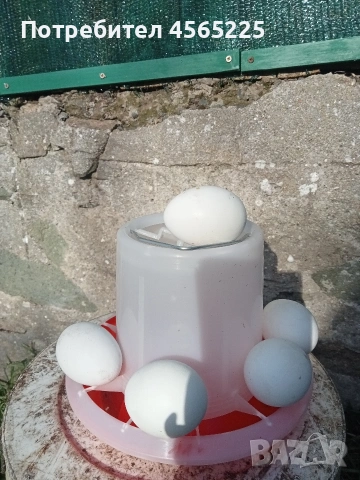 Яйца, снимка 2 - други­ - 53085148