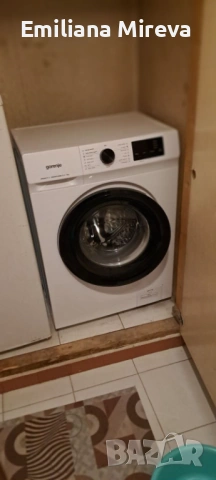 Стая под наем за момиче , снимка 2 - Стаи под наем - 53302357