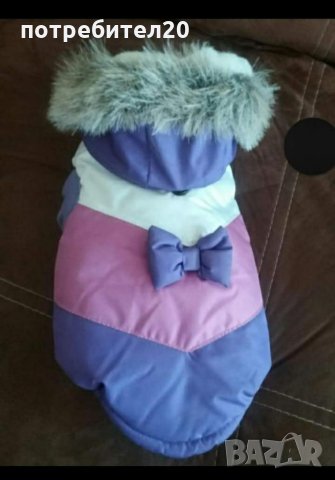 Зимно яке за малка порода куче 