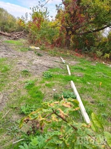 Три съседни парцела в с.Тополи Варна, снимка 4 - Парцели - 53739284