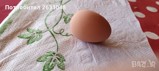 Изкуствени пластмасови яйца за кокошки тежки, снимка 13 - За птици - 40032040
