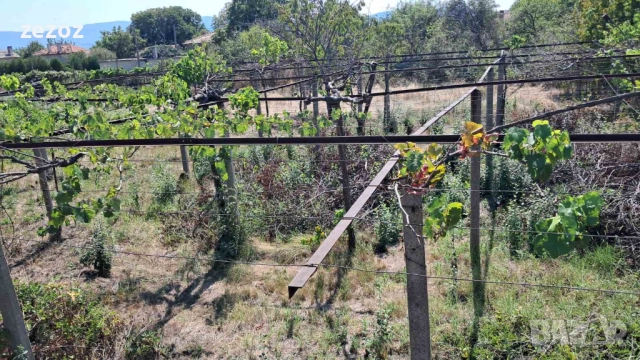 УПИ с.Ветрен-980кв.м, снимка 10 - Парцели - 52707494