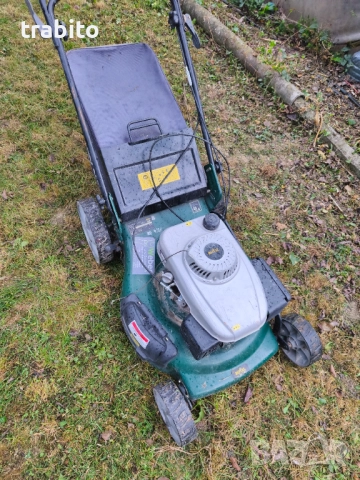 Косачка градинска голяма28-9-25