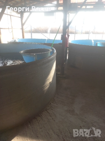 Вана за жива риба 