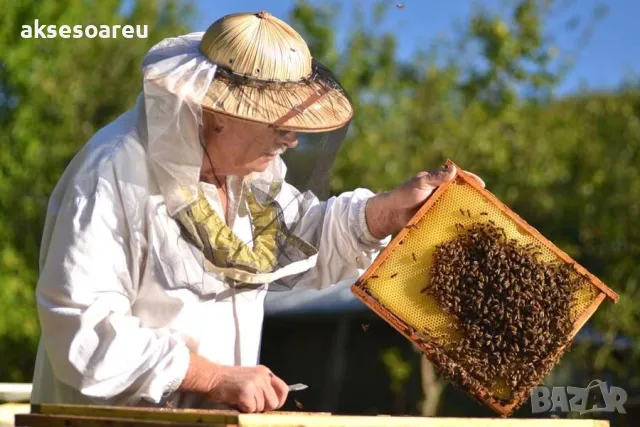 Натурален висококачествен чист Пчелен прашец от природата естествено добит от пчели отлично качество, снимка 5 - Пчелни продукти - 49009813