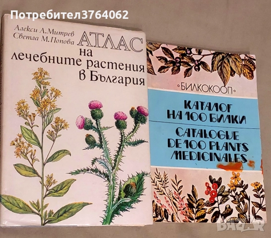 Атлас на лечебните растения в България . Каталог на 100 билки Стоян Й. Стоянов, снимка 2 - Други - 51548749