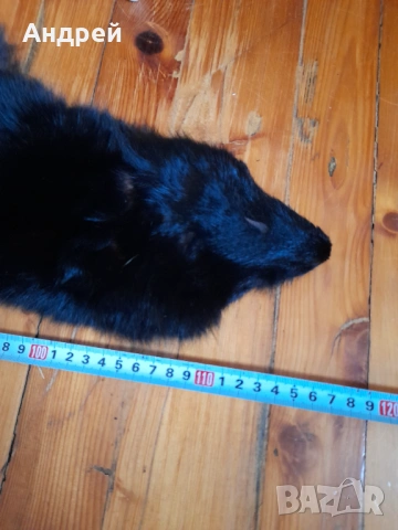 Стара кожа,яка от лисица #3, снимка 6 - Други ценни предмети - 53512540