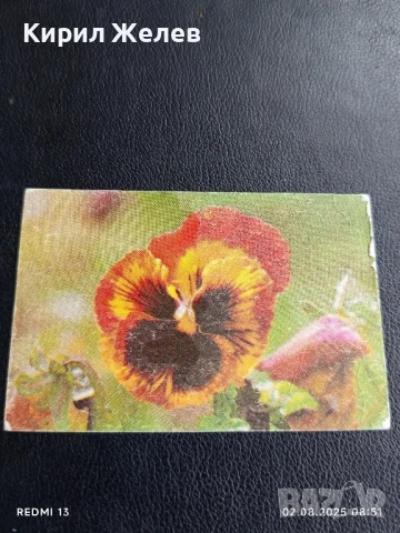 Старо календарче 86г. серия цветя много красиво за КОЛЕКЦИЯ ДЕКОРАЦИЯ 72791