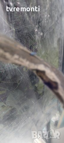 Mainboard CV6886H-C SmartTech SMT55F30UV2M1B1 55inc DISPLAY CX550DLEDM, снимка 9 - Части и Платки - 41778148