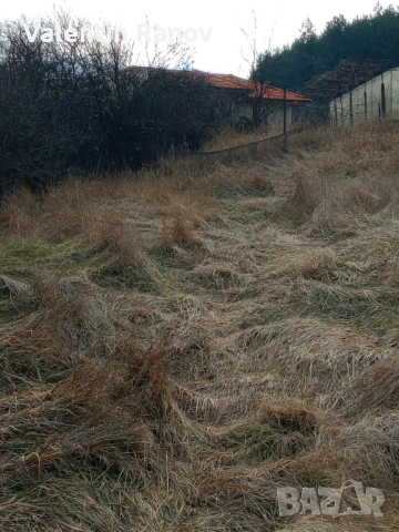 Имот къща в село Гълъбник с площ 980кв, снимка 13 - Парцели - 53349875