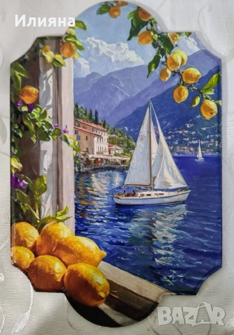 ПАНА, снимка 9 - Пана - 52078211