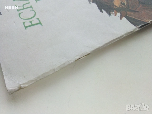 Ескадронът в тревога - Виктор Барух - 1980г., снимка 6 - Детски книжки - 53563899