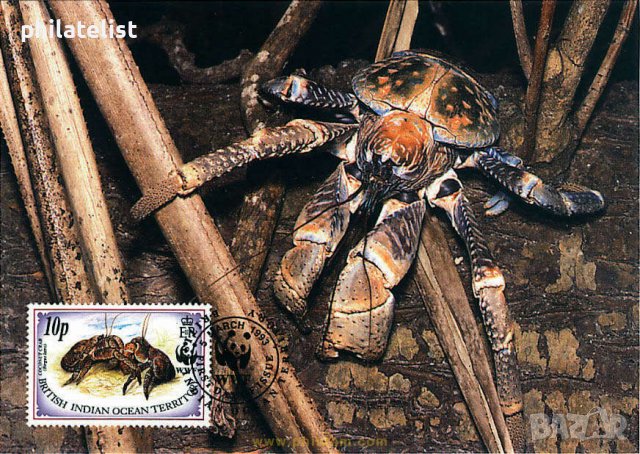 Британски територии в Индийския океан - 4 бр Карти Максимум, снимка 2 - Филателия - 38843593