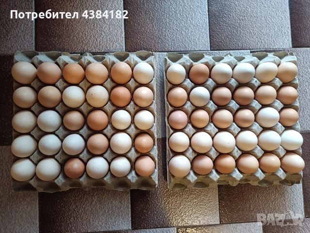 Продавам домашни яйца 