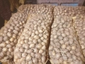 Продавам картофи за семе и консумация, снимка 3