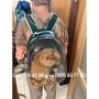 Прозрачна раница за транспортиране на котки и кучета  - КОД 2745, снимка 5