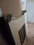 Детска кошара,втора ръка!, снимка 2