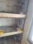 Продавам тройна клетка , снимка 2