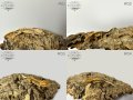 Ресничести гекончета, снимка 1 - Гекон - 42657426
