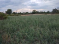 парцел, снимка 1