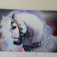 Светеща картина с Led осветление - бял кон, снимка 1 - Картини - 35768298