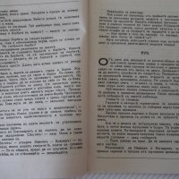 Книга "Човекътъ, който иде-книга 2-Цвѣтанъ Минковъ"-68 стр., снимка 3 - Художествена литература - 41496730