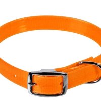 Нашийник, каишка за кучета Fluo Orange 45x2, снимка 1 - За кучета - 42341326