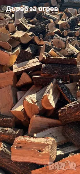 Дърва за пицарии и механи , снимка 1
