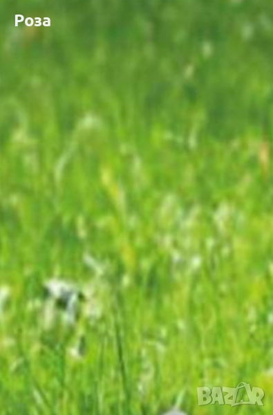 Имот в Девня, снимка 1