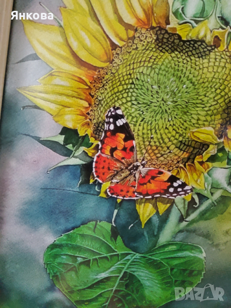 Картина акварел , снимка 1