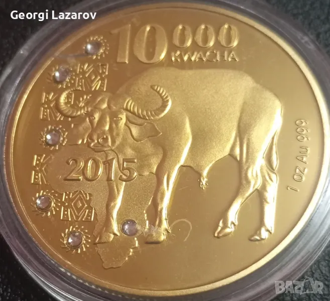 10000 квача Замбия 2015 Бивол, снимка 1