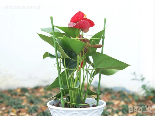 Подпора за растения с цветен пръстен, кръгла стабилна стълба, снимка 2 - Декорация за дома - 53799899