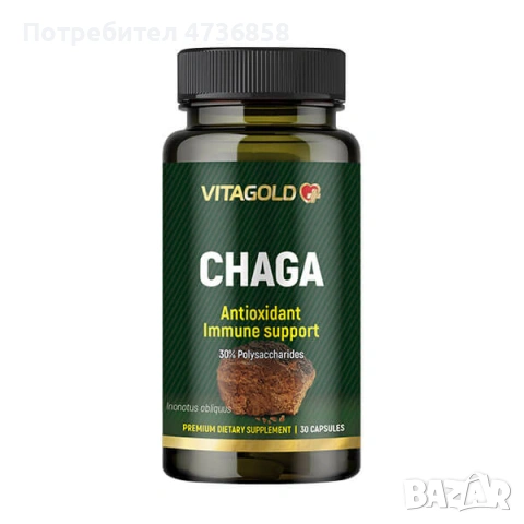Чага (витална гъба) , 30 капсули