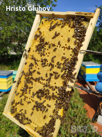 Многокорпусни пчелни отводки , снимка 1 - За пчели - 44932155