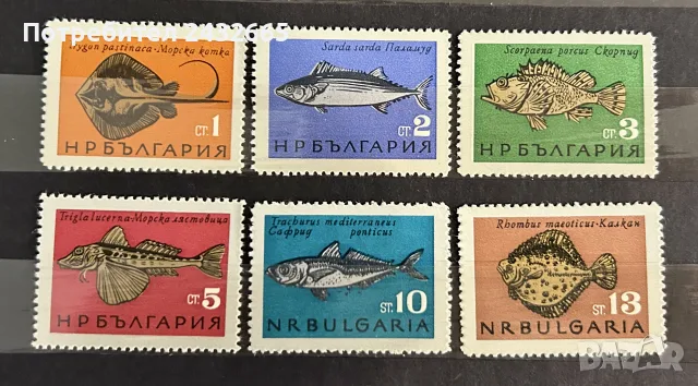 3913. България 1965 - БК 1600 /05 : ” Фауна. Риби .”, **, MNH