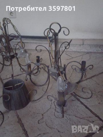 Полилеи, снимка 2 - Полилеи - 39170654