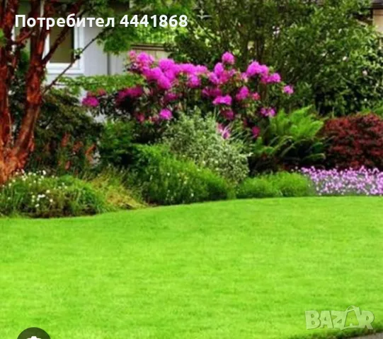Косене разчиствяне  на дворове 0898 49 60 71 
