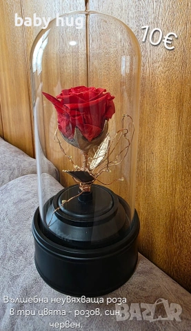 Неувяхваща роза в три цвята, снимка 2 - Декорация за дома - 53053983