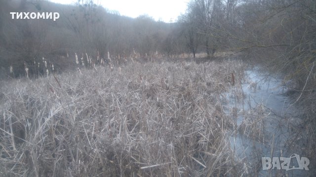 Имот на река Батова,подходящ за хижа с водоем,ваканционно селище,частно имение,рибарници., снимка 9 - Земеделска земя - 41911700