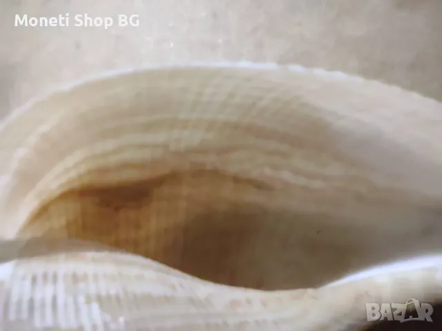 Океански дарове, снимка 3 - Други - 48933549