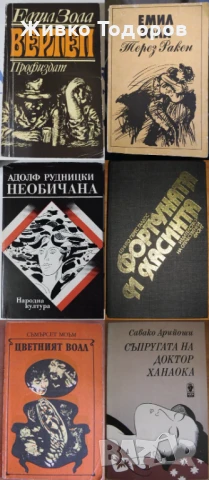 Книги - класика и съвременна проза , снимка 8 - Художествена литература - 50493145