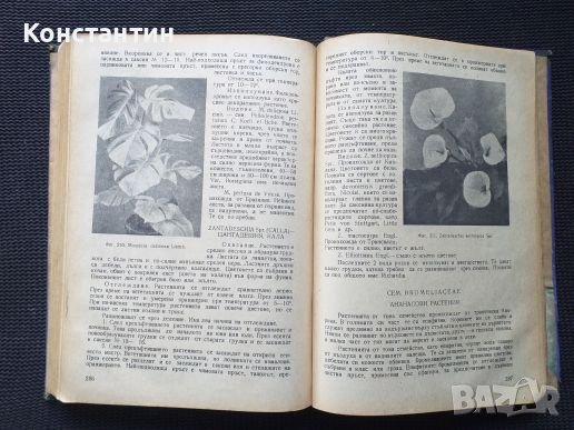 Цветарство Тираж - 1500 броя Учебник , снимка 5 - Специализирана литература - 41142458