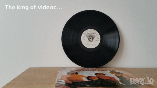 Грамофонна плоча " ЩУРЦИТЕ " 1978 година , снимка 3 - Грамофонни плочи - 53399393