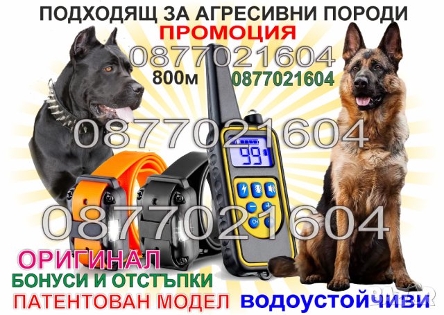 Електронен нашийник за куче, снимка 1 - За кучета - 33543026