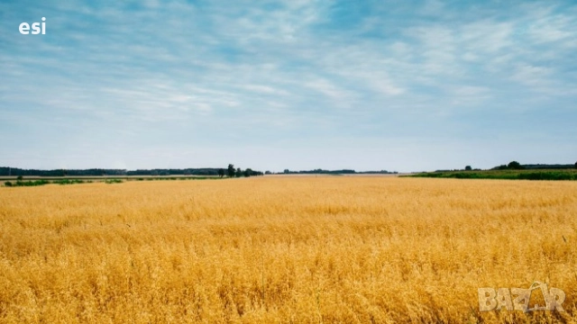 Продавам земеделска земя