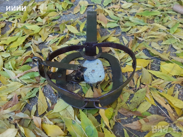 Стъпков капан със зъби 