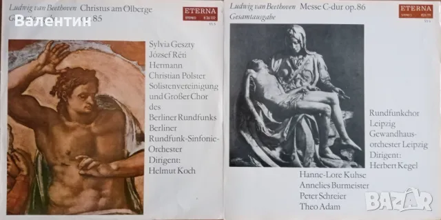 Грамофонни плочи с класическа музика, снимка 2 - Грамофонни плочи - 49057879