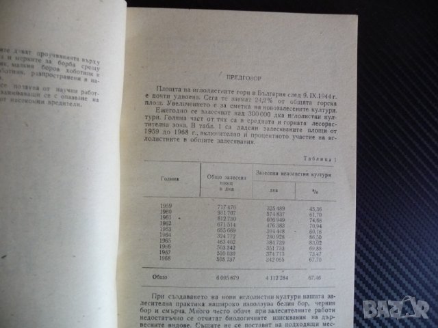 Някои опасни насекоми вредители в нашите иглолистни гори - Г. Цанков, Т. Чернев, снимка 2 - Други - 39990081