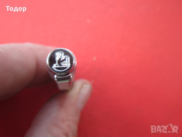 Страхотна писалка Пеликан, снимка 4 - Колекции - 35749177