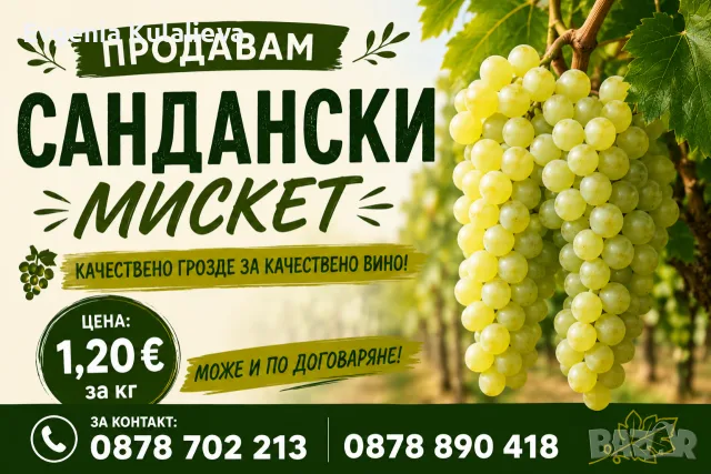 грозде Сандански мискет 